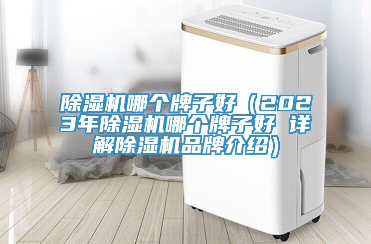 91看片网站哪個牌子好（2023年91看片网站哪個牌子好 詳解91看片网站品牌介紹）