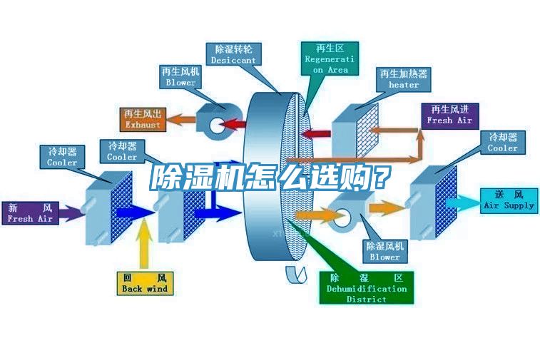 91看片网站怎麽選購？