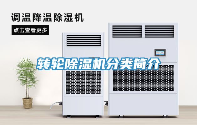 轉輪91看片网站分類簡介