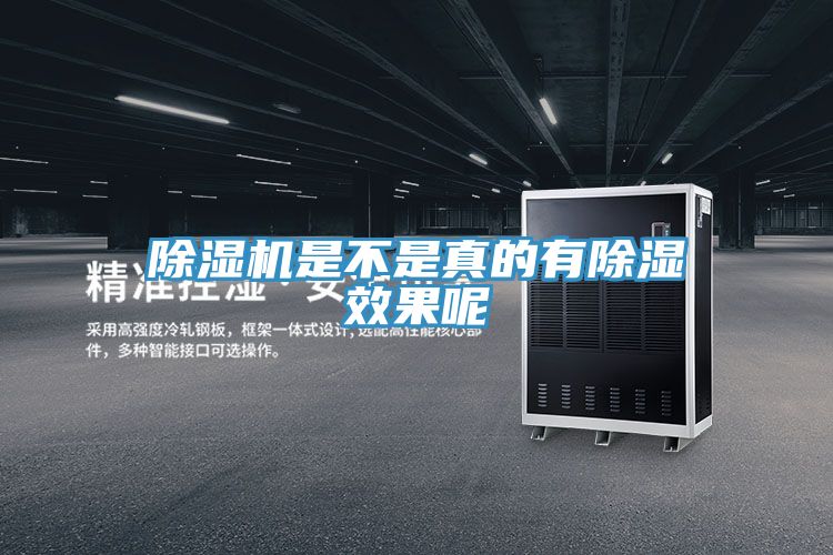 91看片网站是不是真的有除濕效果呢