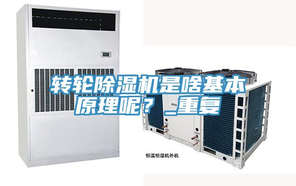 轉輪91看片网站是啥基本原理呢？_重複