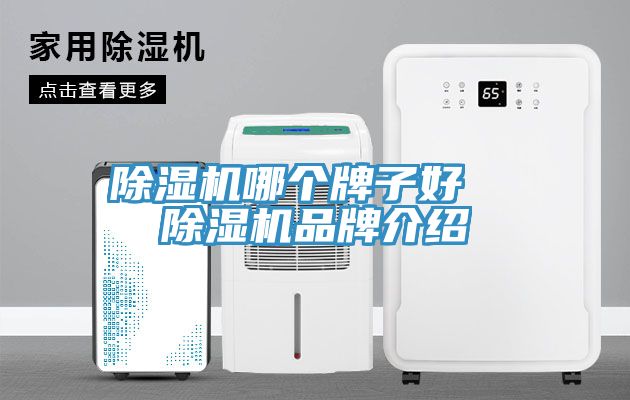 91看片网站哪個牌子好  91看片网站品牌介紹