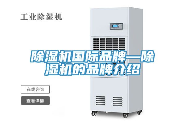 91看片网站國際品牌—91看片网站的品牌介紹