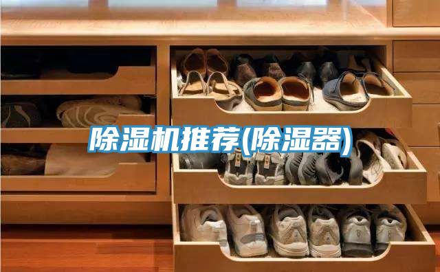91看片网站推薦(除濕器)