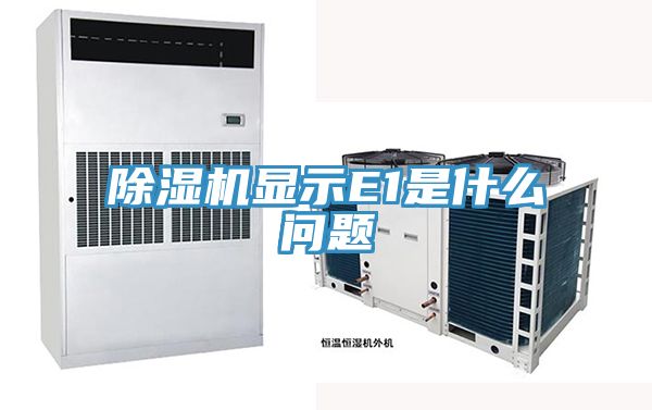 91看片网站顯示E1是什麽問題
