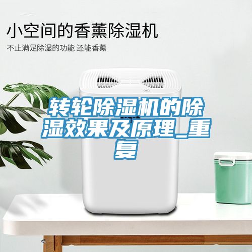 轉輪91看片网站的除濕效果及原理_重複