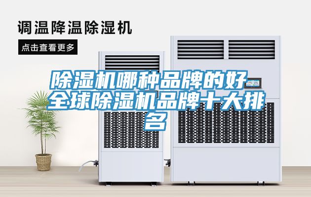 91看片网站哪種品牌的好 全球91看片网站品牌十大排名