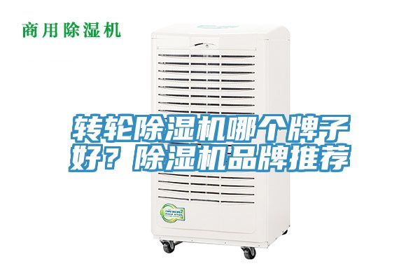 轉輪91看片网站哪個牌子好？91看片网站品牌推薦
