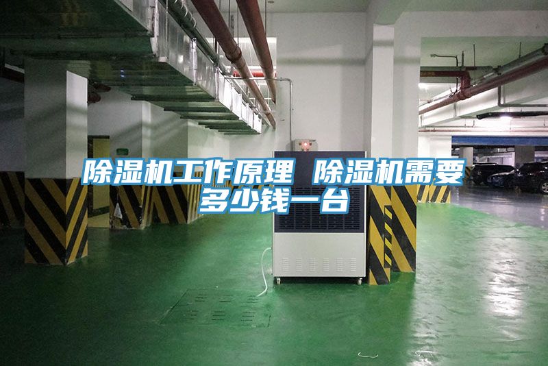 91看片网站工作原理 91看片网站需要多少錢一台