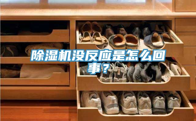 91看片网站沒反應是怎麽回事？
