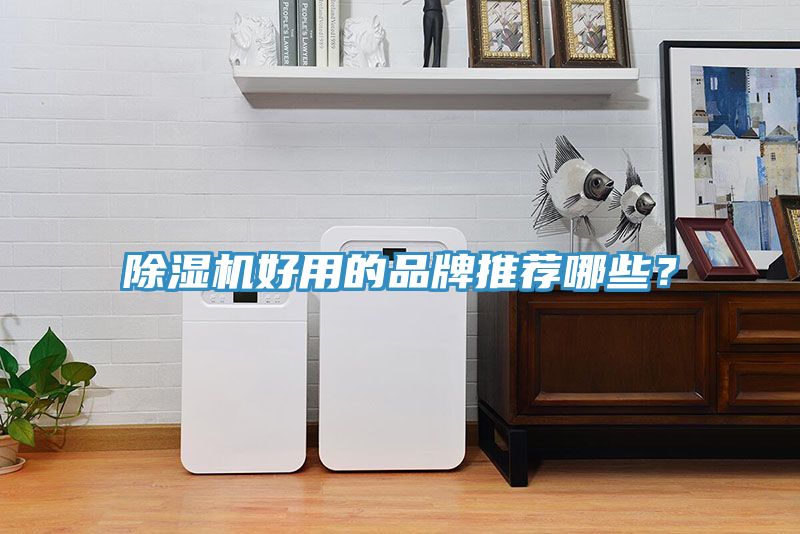 91看片网站好用的品牌推薦哪些？