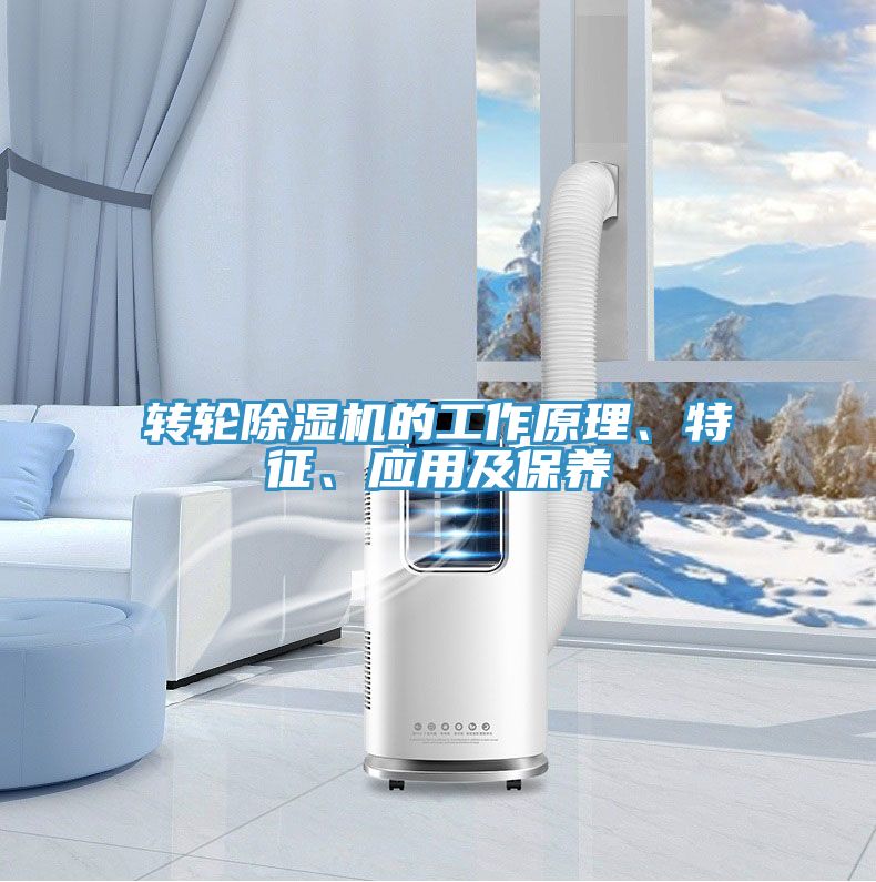 轉輪91看片网站的工作原理、特征、應用及保養