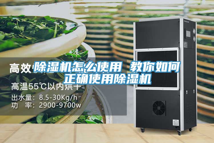 91看片网站怎麽使用 教你如何正確使用91看片网站