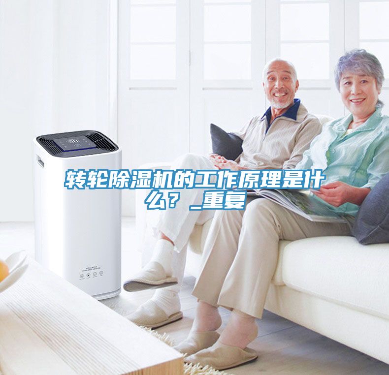 轉輪91看片网站的工作原理是什麽？_重複