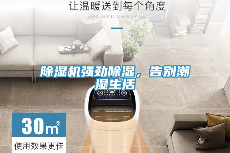 91看片网站強勁除濕，告別潮濕生活