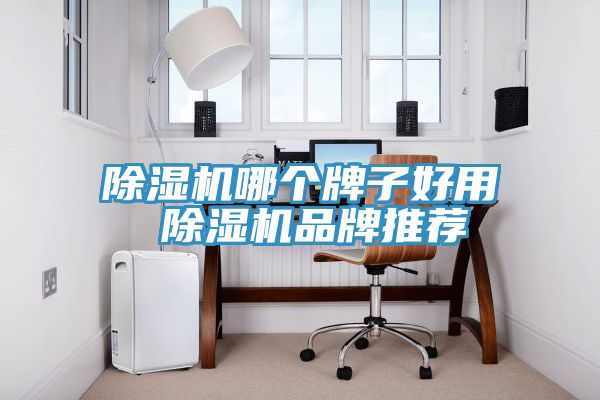 91看片网站哪個牌子好用 91看片网站品牌推薦