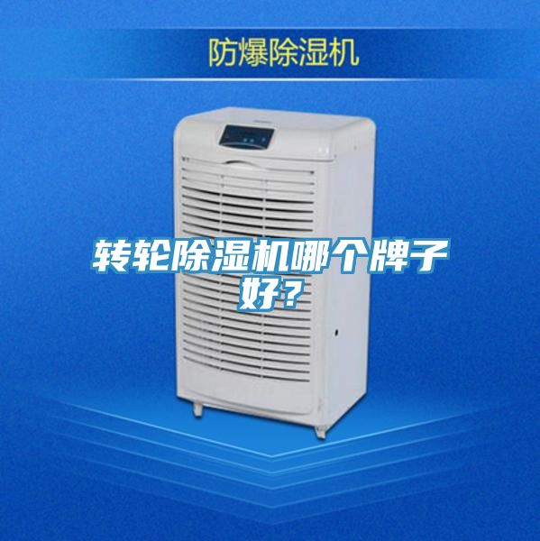 轉輪91看片网站哪個牌子好？