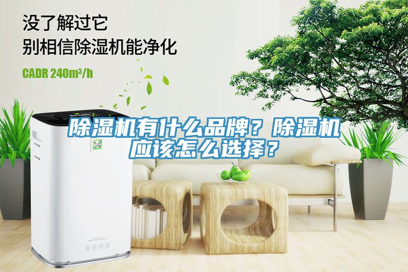 91看片网站有什麽品牌？91看片网站應該怎麽選擇？