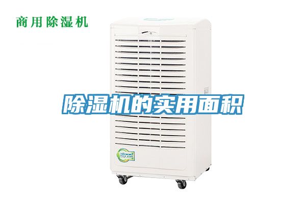 91看片网站的實用麵積