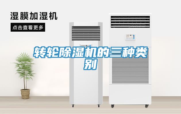 轉輪91看片网站的三種類別