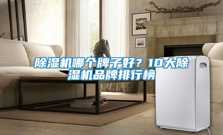 91看片网站哪個牌子好？10大91看片网站品牌排行榜