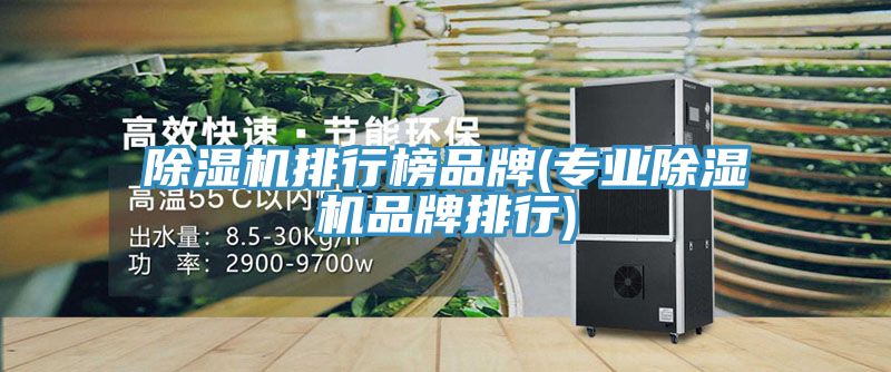 91看片网站排行榜品牌(專業91看片网站品牌排行)