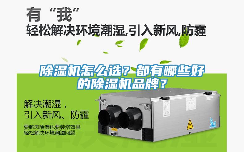 91看片网站怎麽選？都有哪些好的91看片网站品牌？
