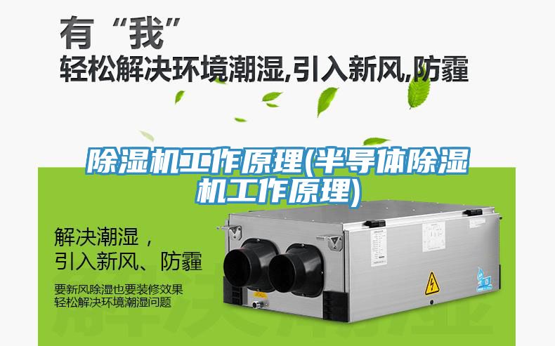 91看片网站工作原理(半導體91看片网站工作原理)
