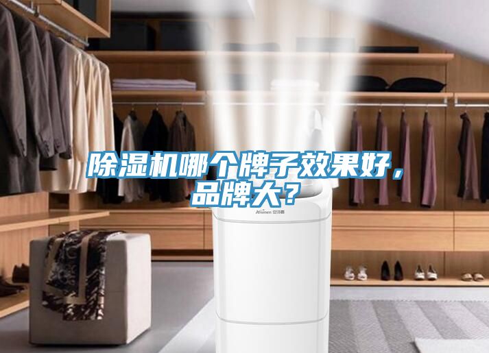 91看片网站哪個牌子效果好，品牌大？