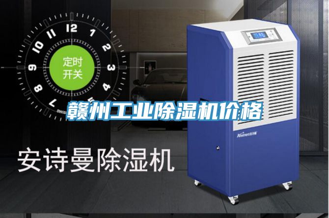 贛州工業91看片网站價格