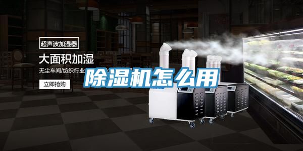 91看片网站怎麽用
