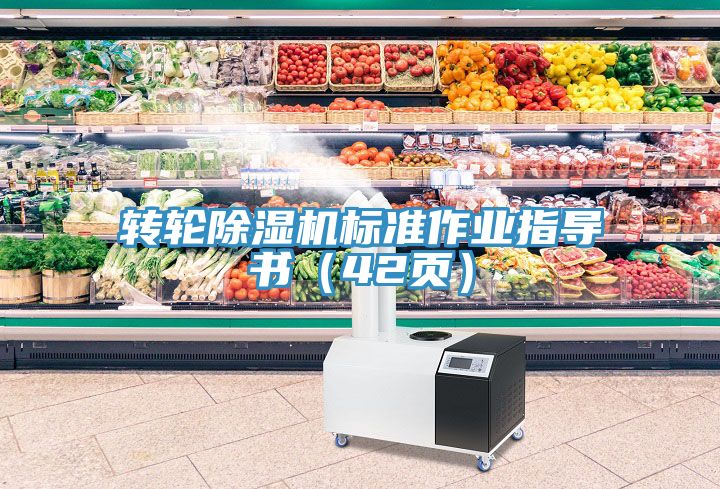 轉輪91看片网站標準作業指導書（42頁）
