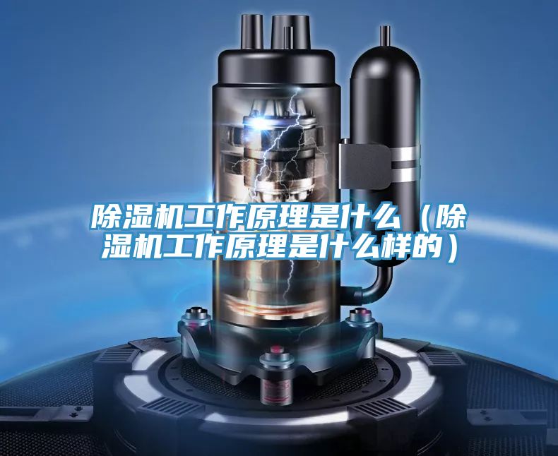 91看片网站工作原理是什麽（91看片网站工作原理是什麽樣的）