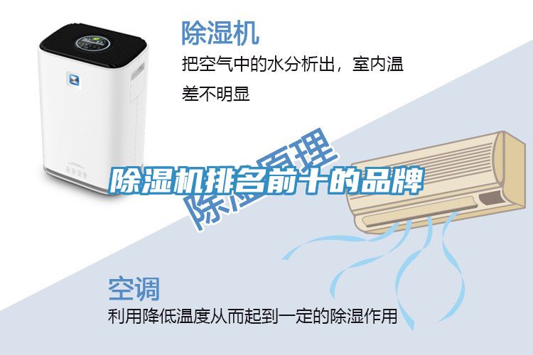91看片网站排名前十的品牌