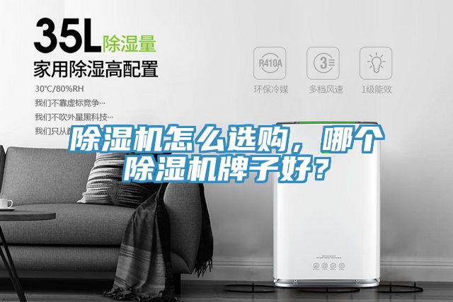 91看片网站怎麽選購，哪個91看片网站牌子好？