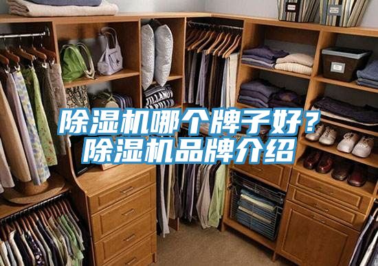 91看片网站哪個牌子好？91看片网站品牌介紹