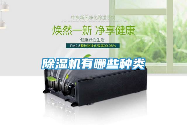 91看片网站有哪些種類