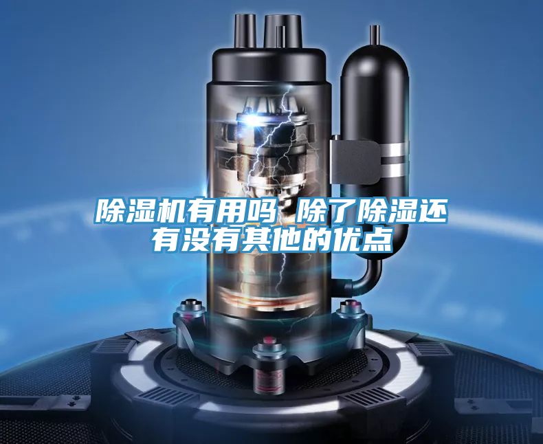 91看片网站有用嗎 除了除濕還有沒有其他的優點