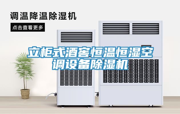 立櫃式酒窖恒溫恒濕空調設備91看片网站