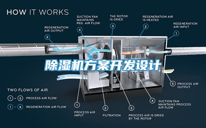 91看片网站方案開發設計