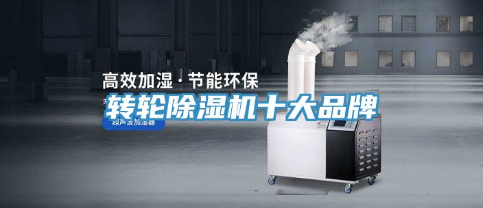 轉輪91看片网站十大品牌