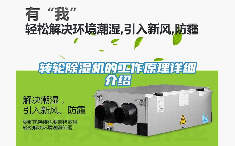轉輪91看片网站的工作原理詳細介紹