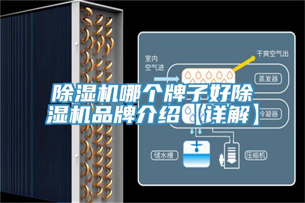91看片网站哪個牌子好91看片网站品牌介紹【詳解】