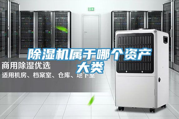91看片网站屬於哪個資產大類