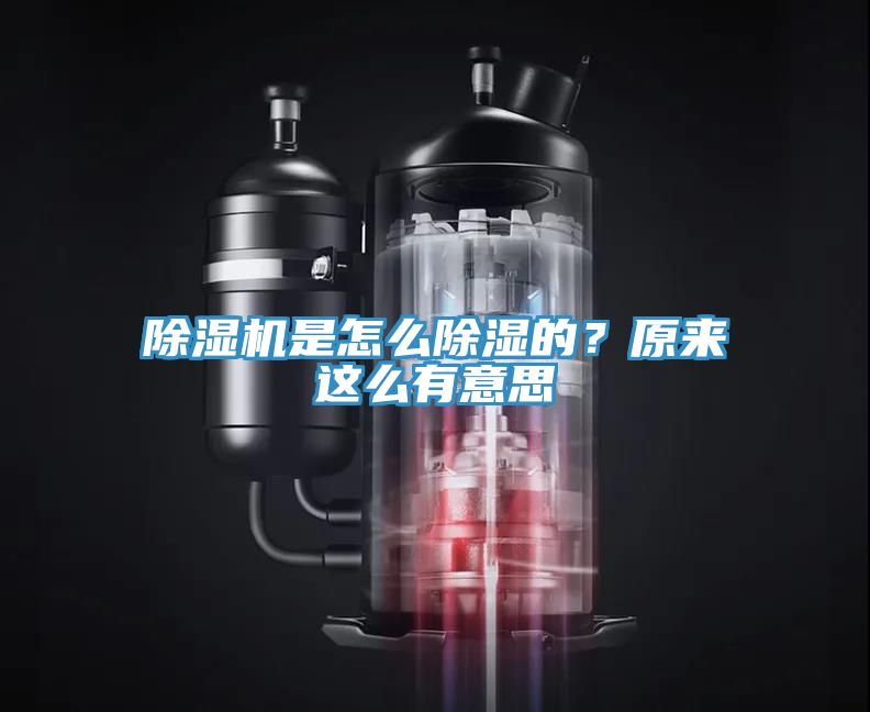 91看片网站是怎麽除濕的？原來這麽有意思