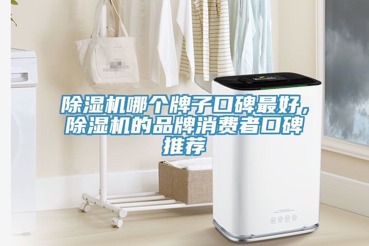 91看片网站哪個牌子口碑最好，91看片网站的品牌消費者口碑推薦