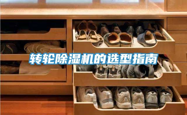 轉輪91看片网站的選型指南