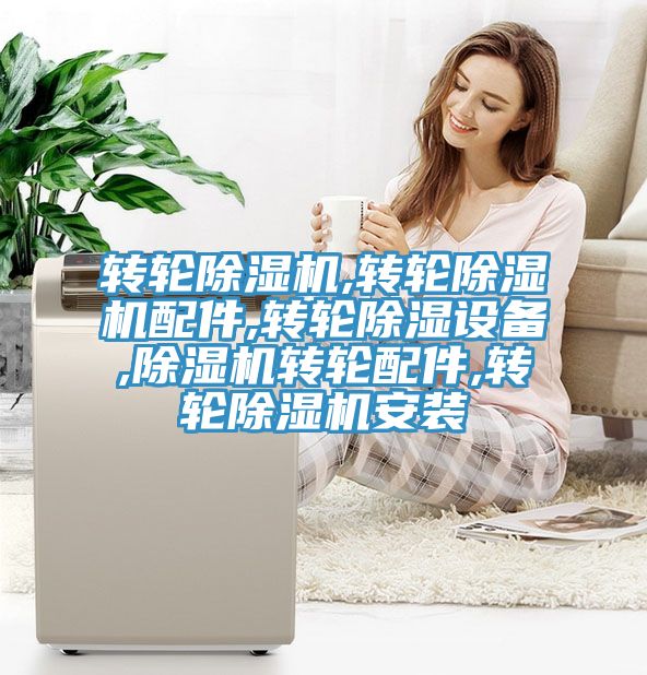 轉輪91看片网站,轉輪91看片网站配件,轉輪除濕設備,91看片网站轉輪配件,轉輪91看片网站安裝