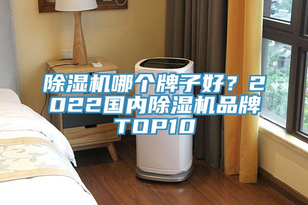 91看片网站哪個牌子好？2022國內91看片网站品牌TOP10