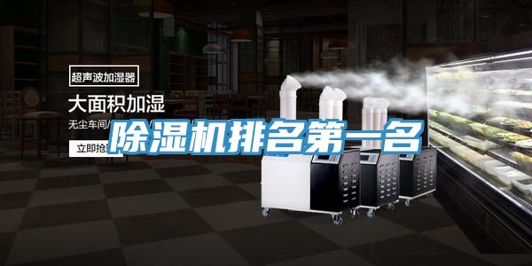 91看片网站排名第一名